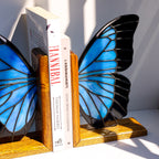 Stained Glass Blue Morpho Butterfly Bookends