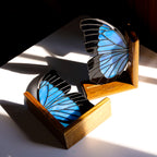 Stained Glass Blue Morpho Butterfly Bookends