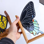 Stained Glass Tiger Swallowtail Bookends