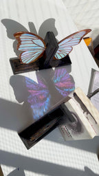 Stained Glass Blue Morpho Godartii Bookends